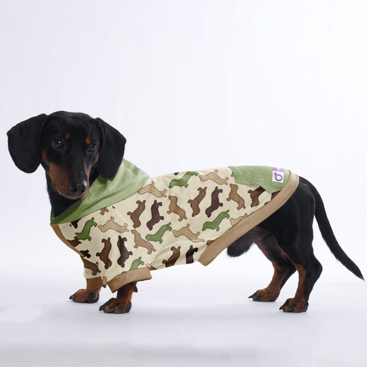 Ace - Hoodies for Dachshunds