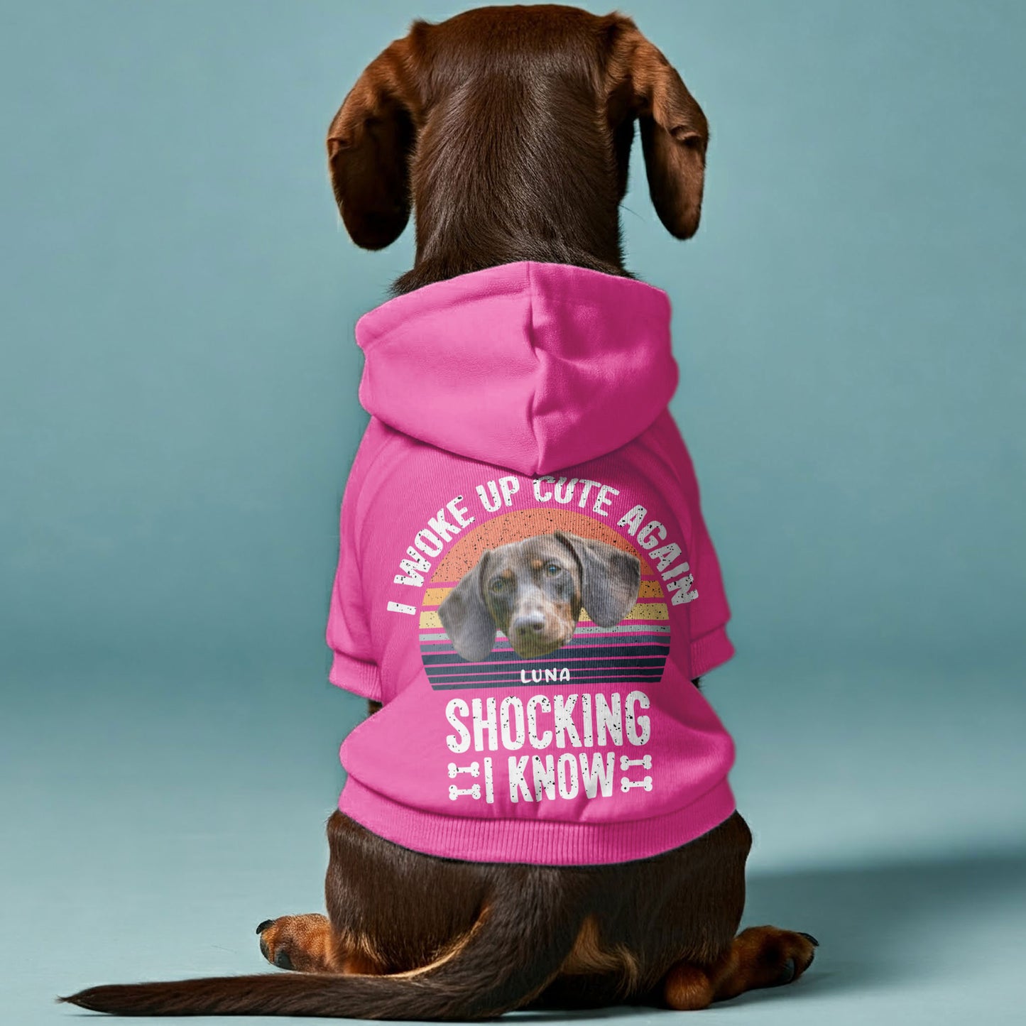 I Woke Up – Personalized Dachshund Hoodies with Your Doxie’s Name & Photo – Stylish, Cozy & Made from Premium 100% Cotton