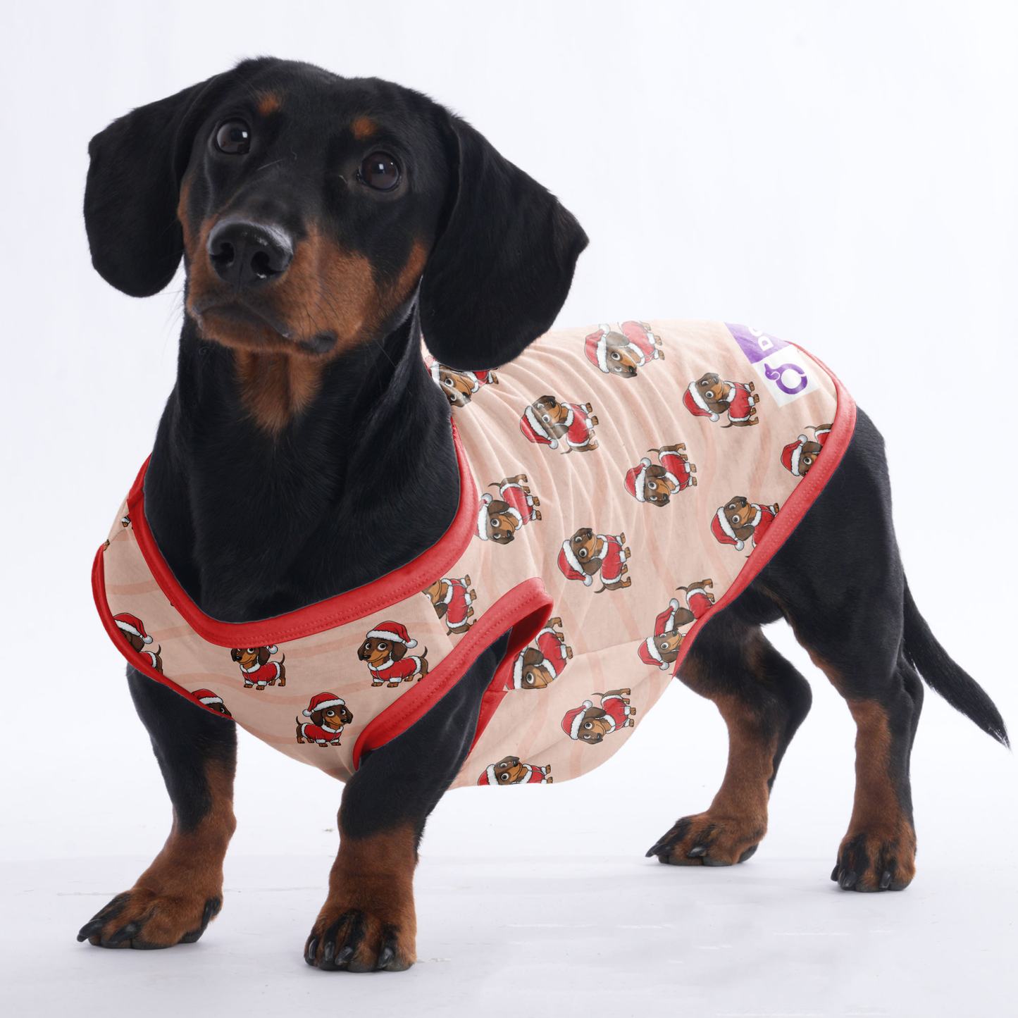 Mochi -  Shirt for Dachshunds