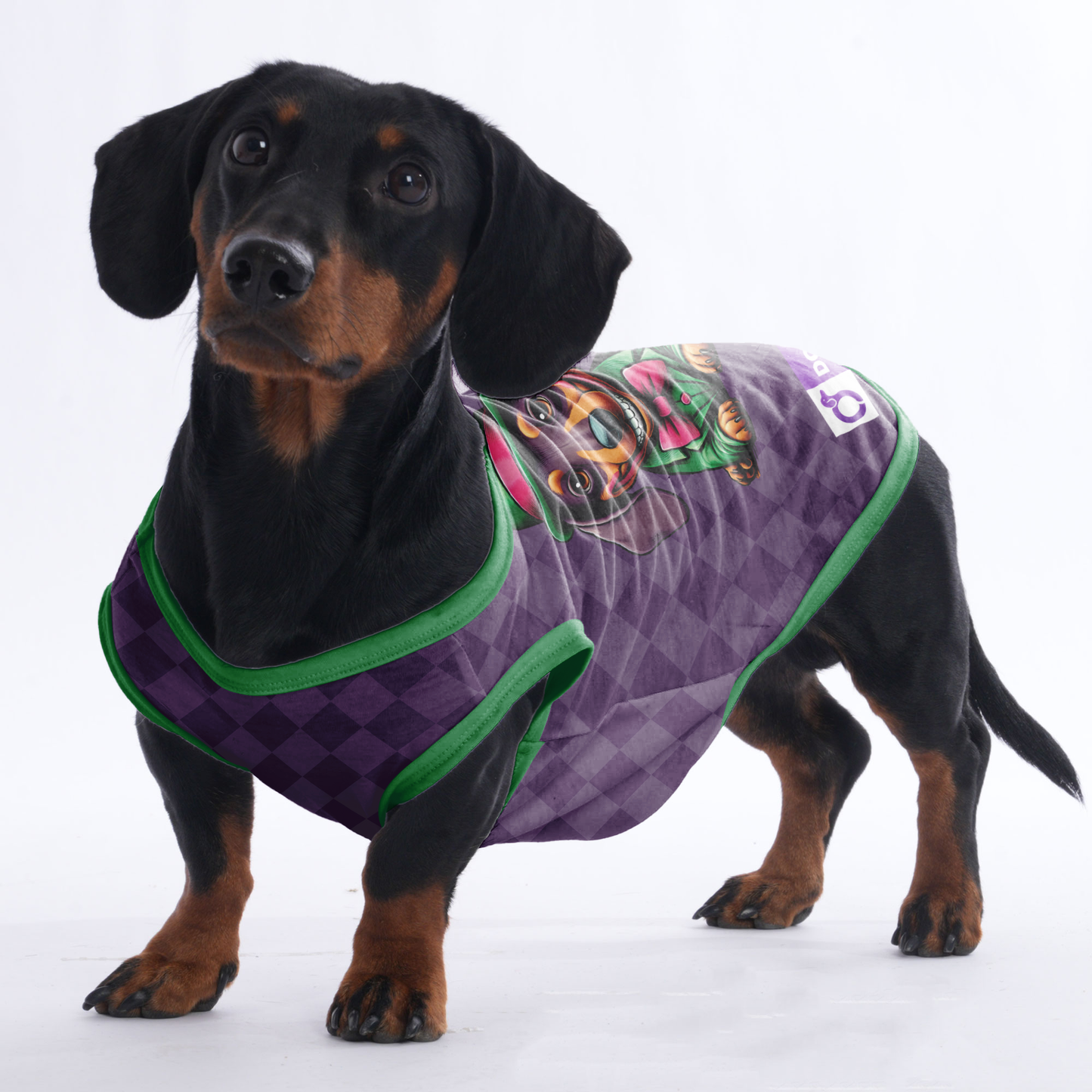 Pickle -  Shirt for Dachshunds