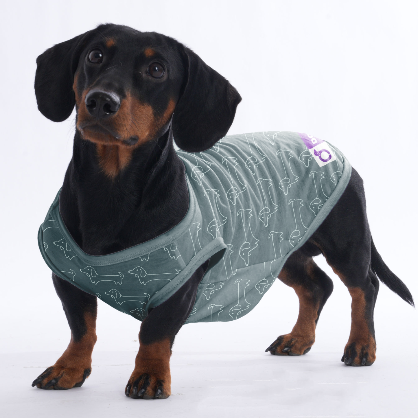 Sebastian  -  Shirt for Dachshunds