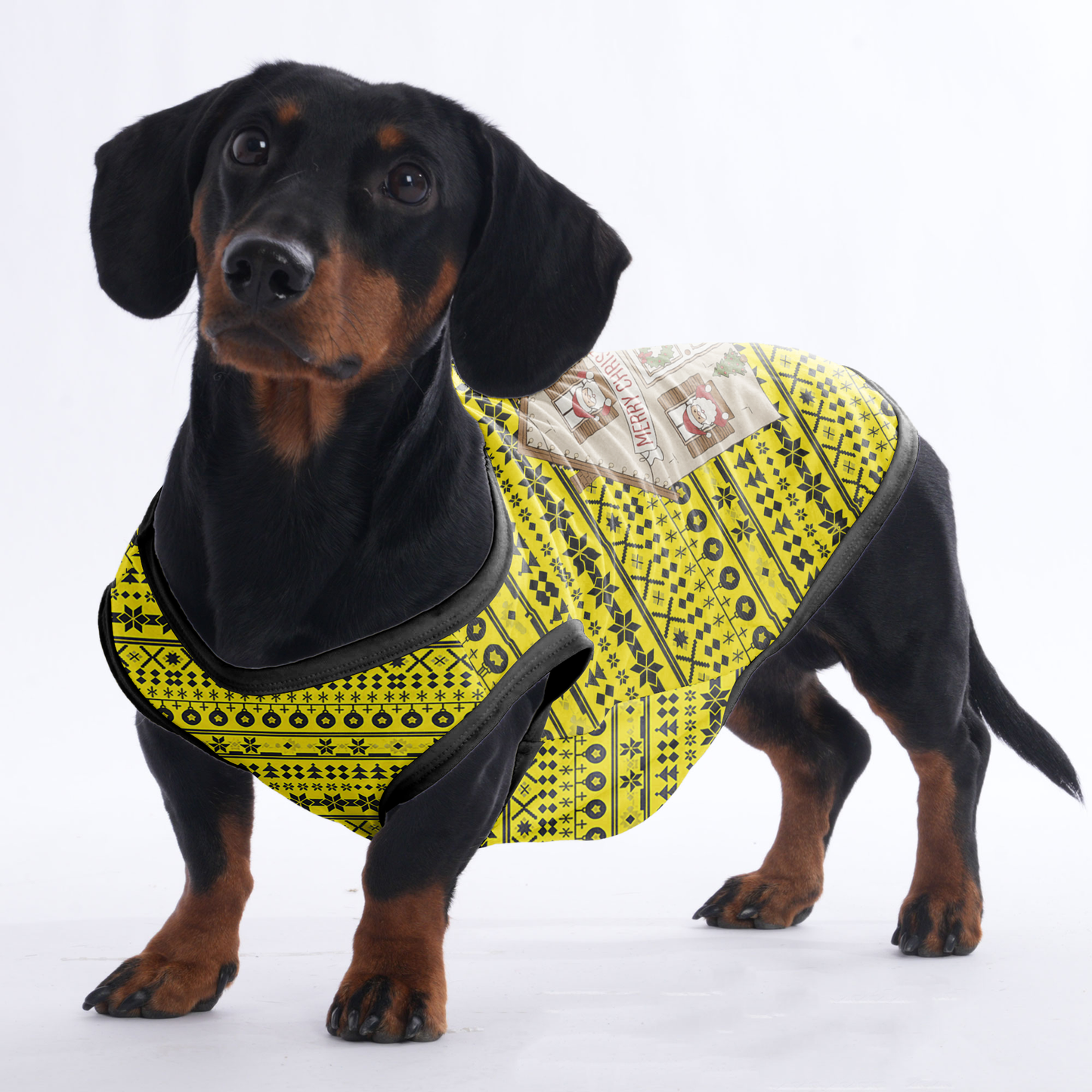 Bella - Shirt for Dachshunds