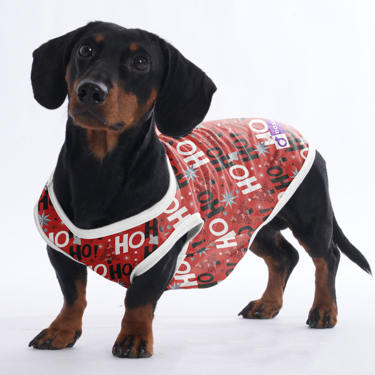 Sadie -  Shirt for Dachshunds