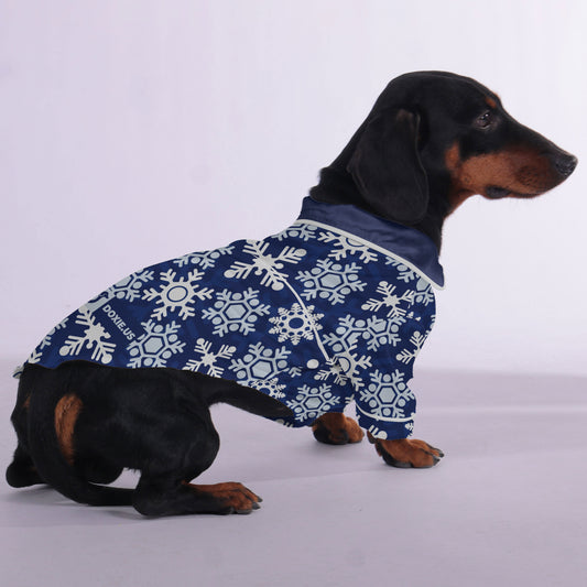 Katie -  Pajamas for Dachshund