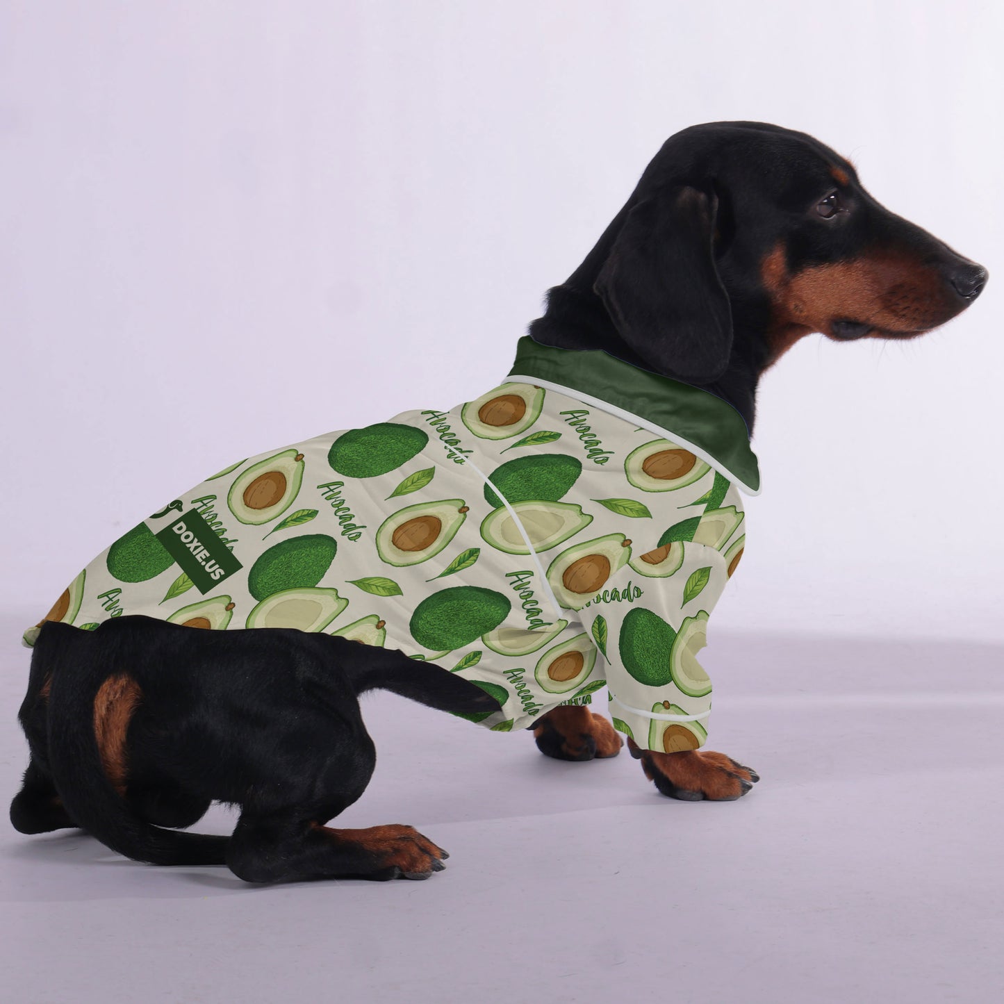 Shannon - Pajamas for Dachshund