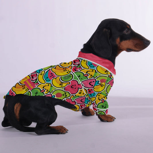 Bodo - Pajamas for Dachshund