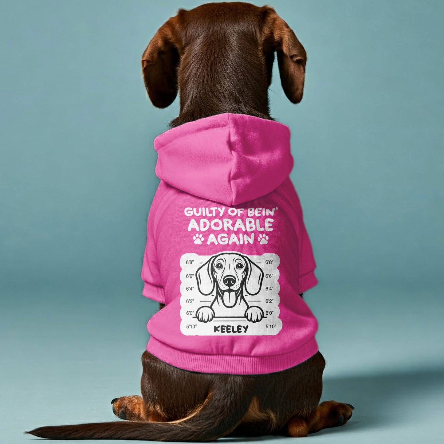 Guilty of bein’ - Personalized Dachshund Hoodies with your doxie name – Stylish, Cozy, and Premium 100% Cotton