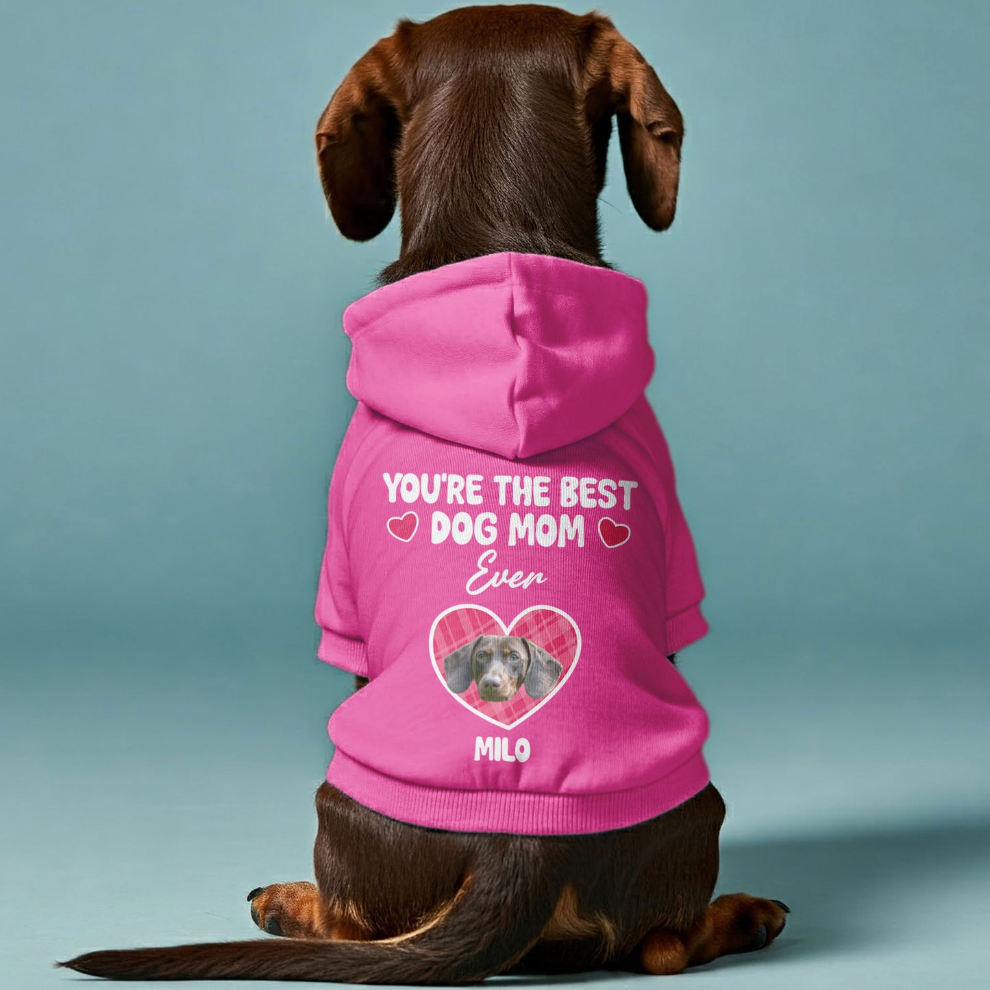 BEST DOG MOM – Personalized Dachshund Hoodies with Your Doxie’s Name & Photo – Stylish, Cozy & Made from Premium 100% Cotton
