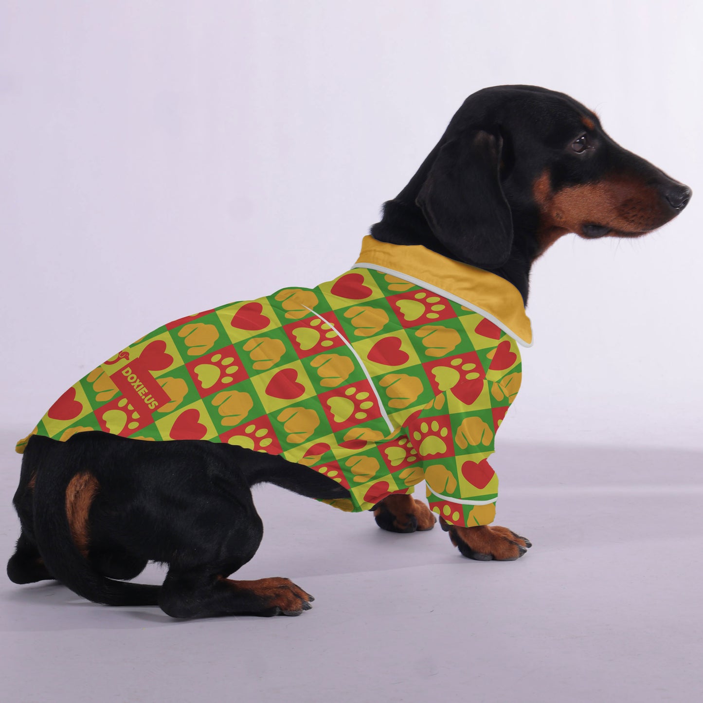 Katie - Pajamas for Dachshund