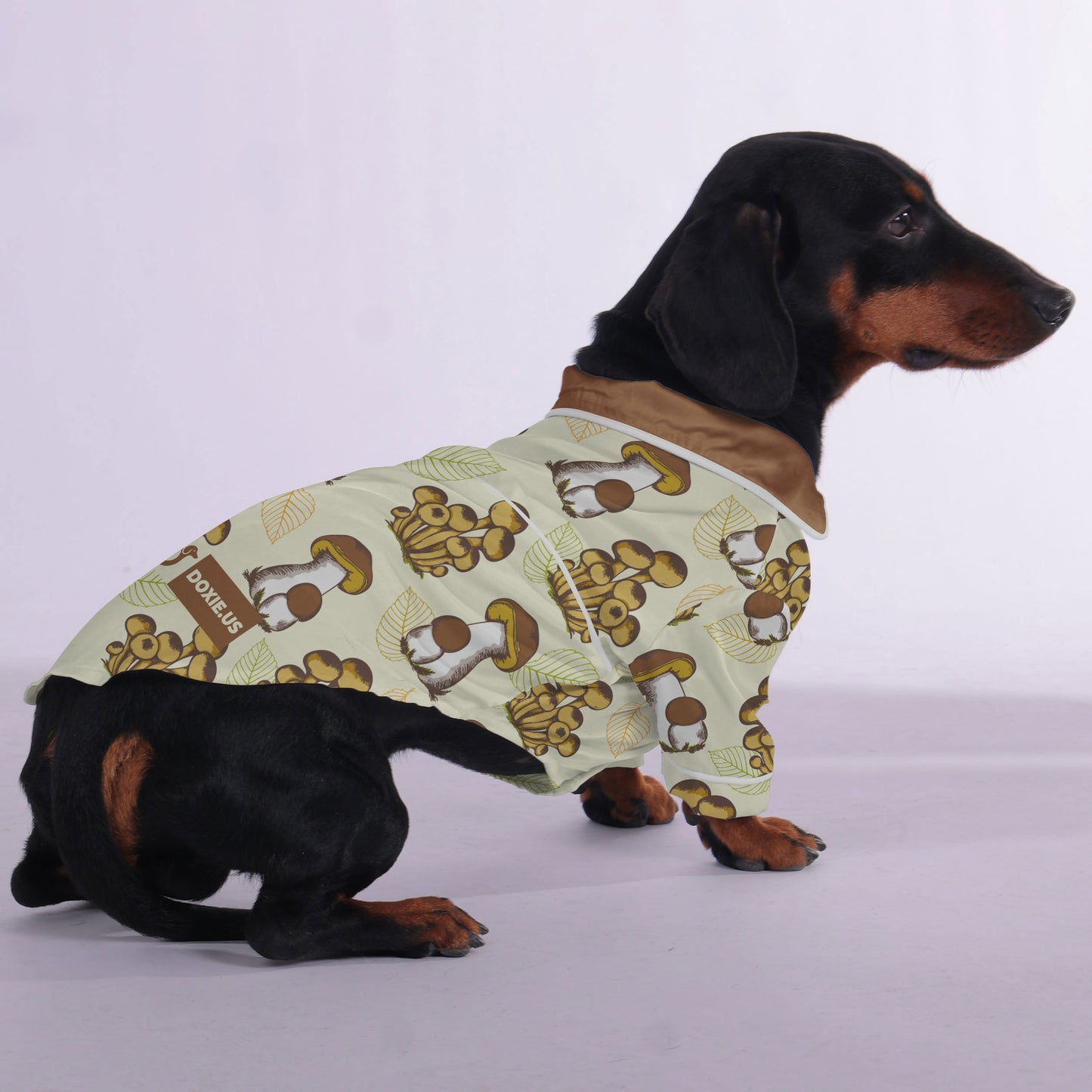 Dakota -  Pajamas for Dachshund