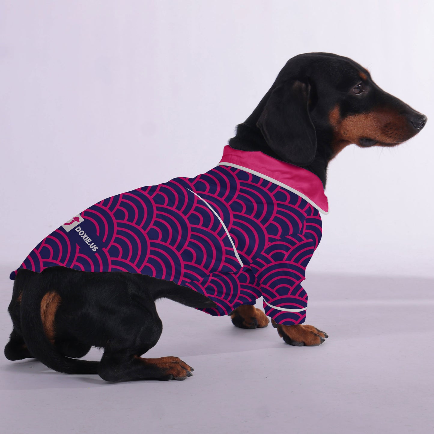 Willy -  Pajamas for Dachshund