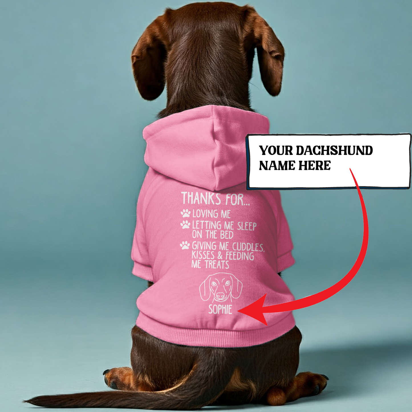 Abby - Personalized Dachshund Hoodies with your doxie name – Stylish, Cozy, and Premium 100% Cotton