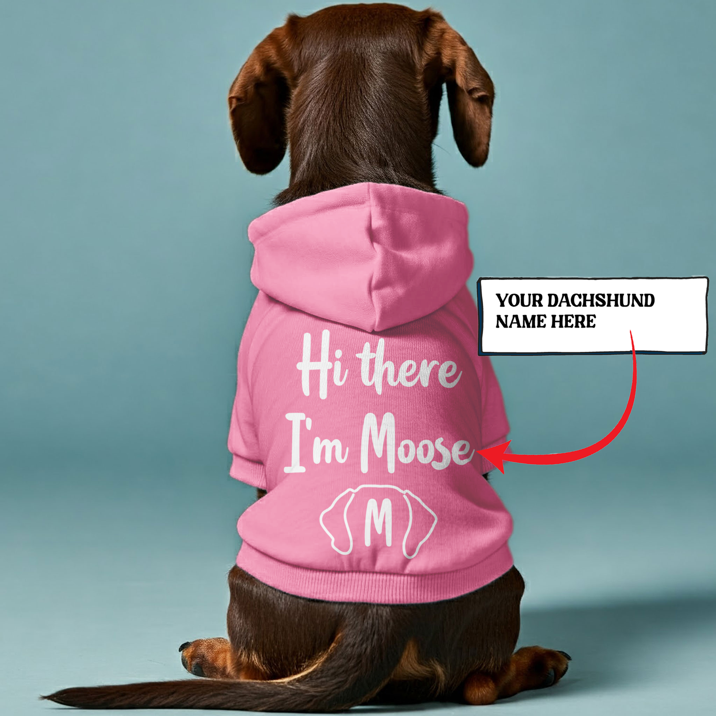 Hi there Im Moose - Personalized Dachshund Hoodies with your doxie name – Stylish, Cozy, and Premium 100% Cotton