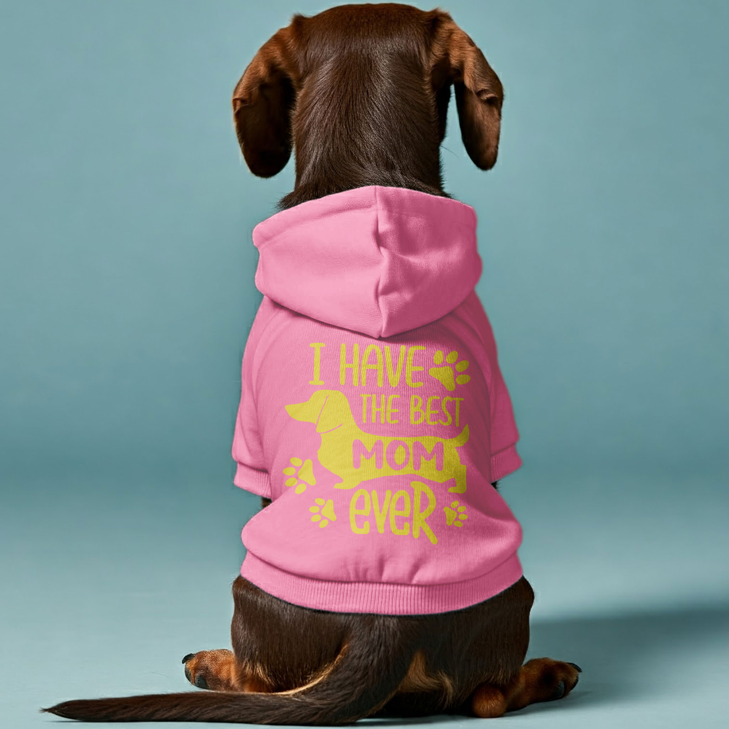 I Have The Best Mom Ever - Personalized Dachshund Hoodies with Funny Quotes – Stylish, Cozy, and Premium 100% Cotton