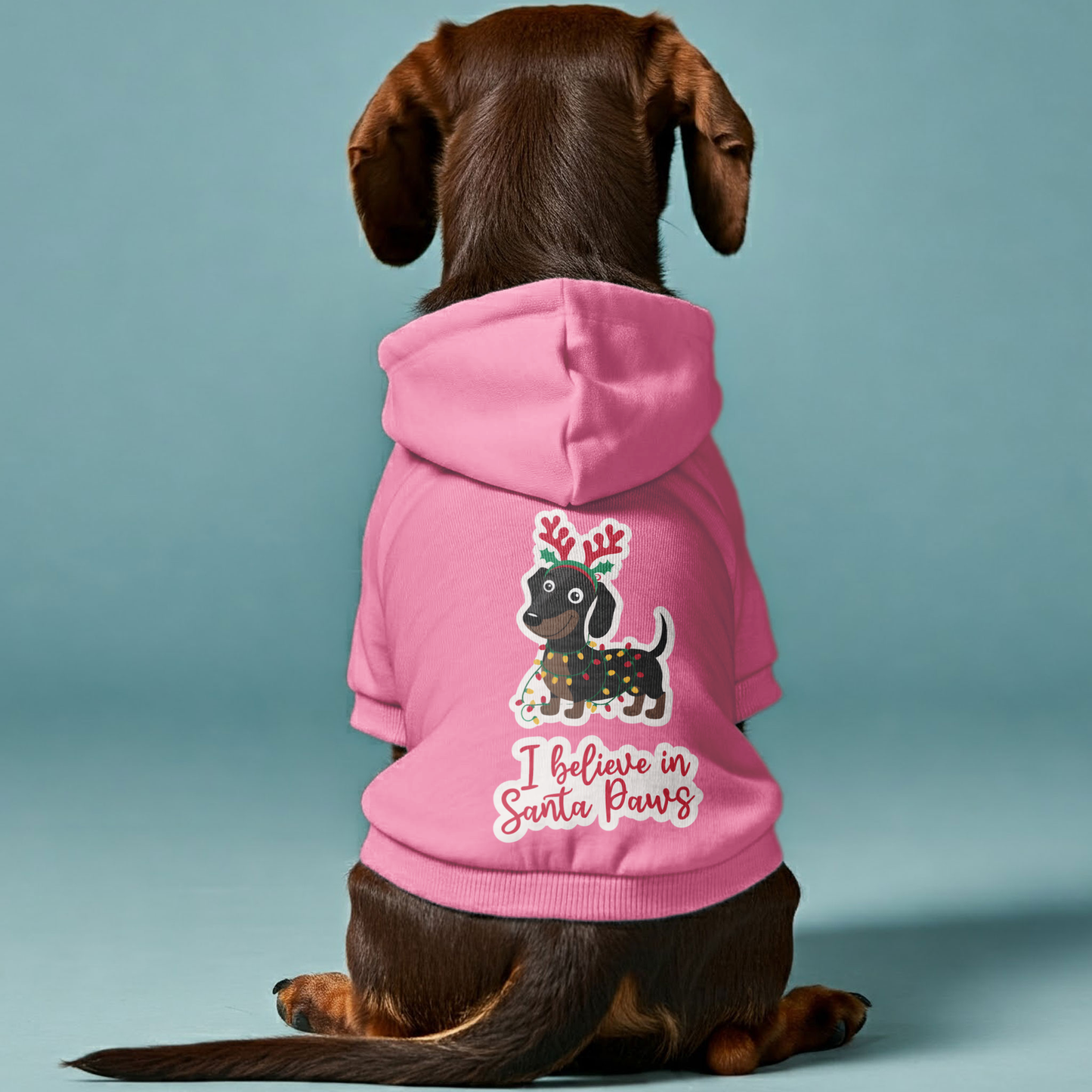 Ace - Personalized Dachshund Hoodies with Funny Quotes – Stylish, Cozy, and Premium 100% Cotton