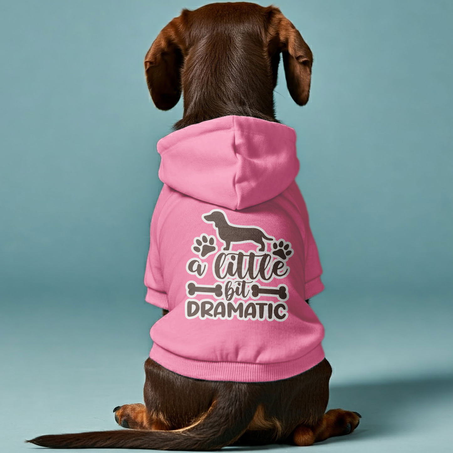 Little Bit Dramatic - Personalized Dachshund Hoodies with Funny Quotes – Stylish, Cozy, and Premium 100% Cotton