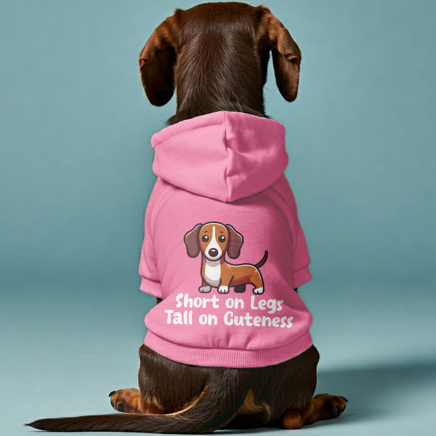 Short on Legs, Tall on Cuteness - Personalized Dachshund Hoodies with Funny Quotes – Stylish, Cozy, and Premium 100% Cotton