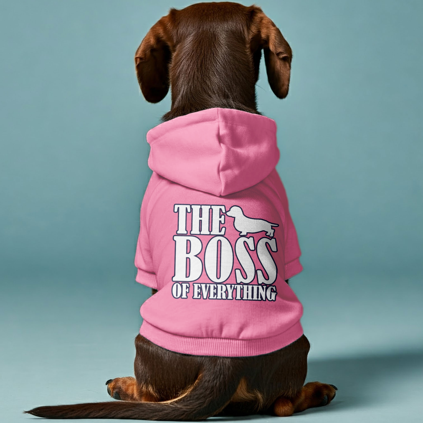 The BOSS - Personalized Dachshund Hoodies with Funny Quotes – Stylish, Cozy, and Premium 100% Cotton