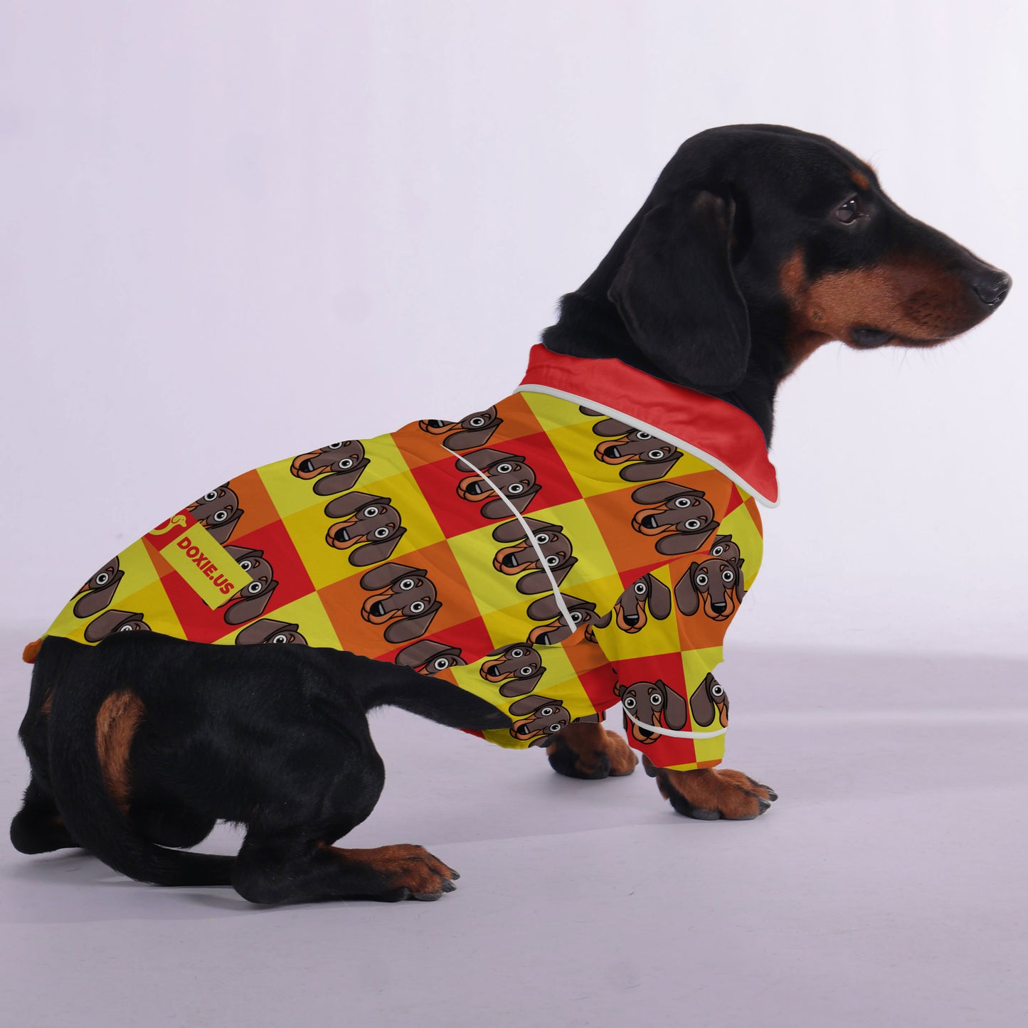 Lincoln -  Pajamas for Dachshund