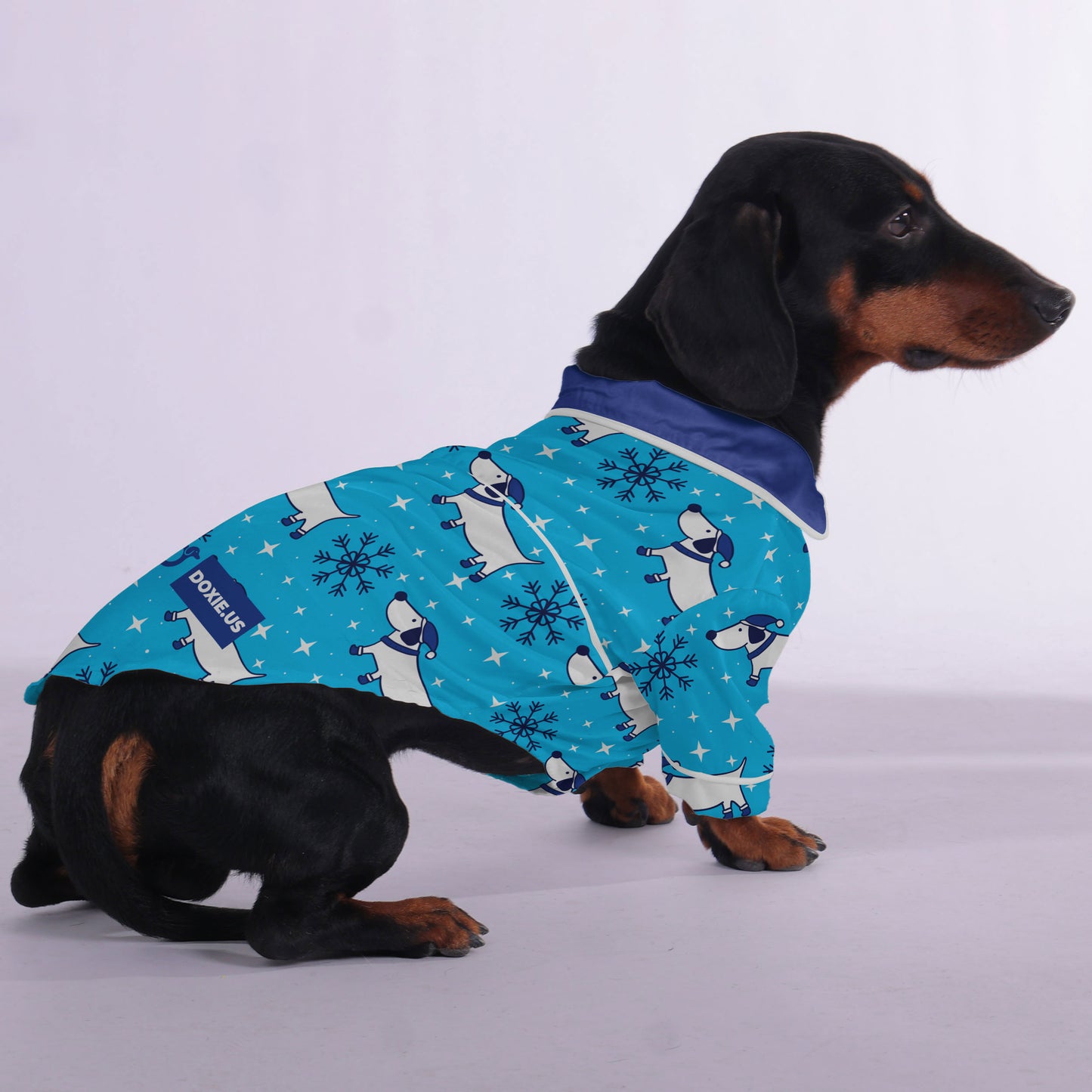 Rachel-  Pajamas for Dachshund