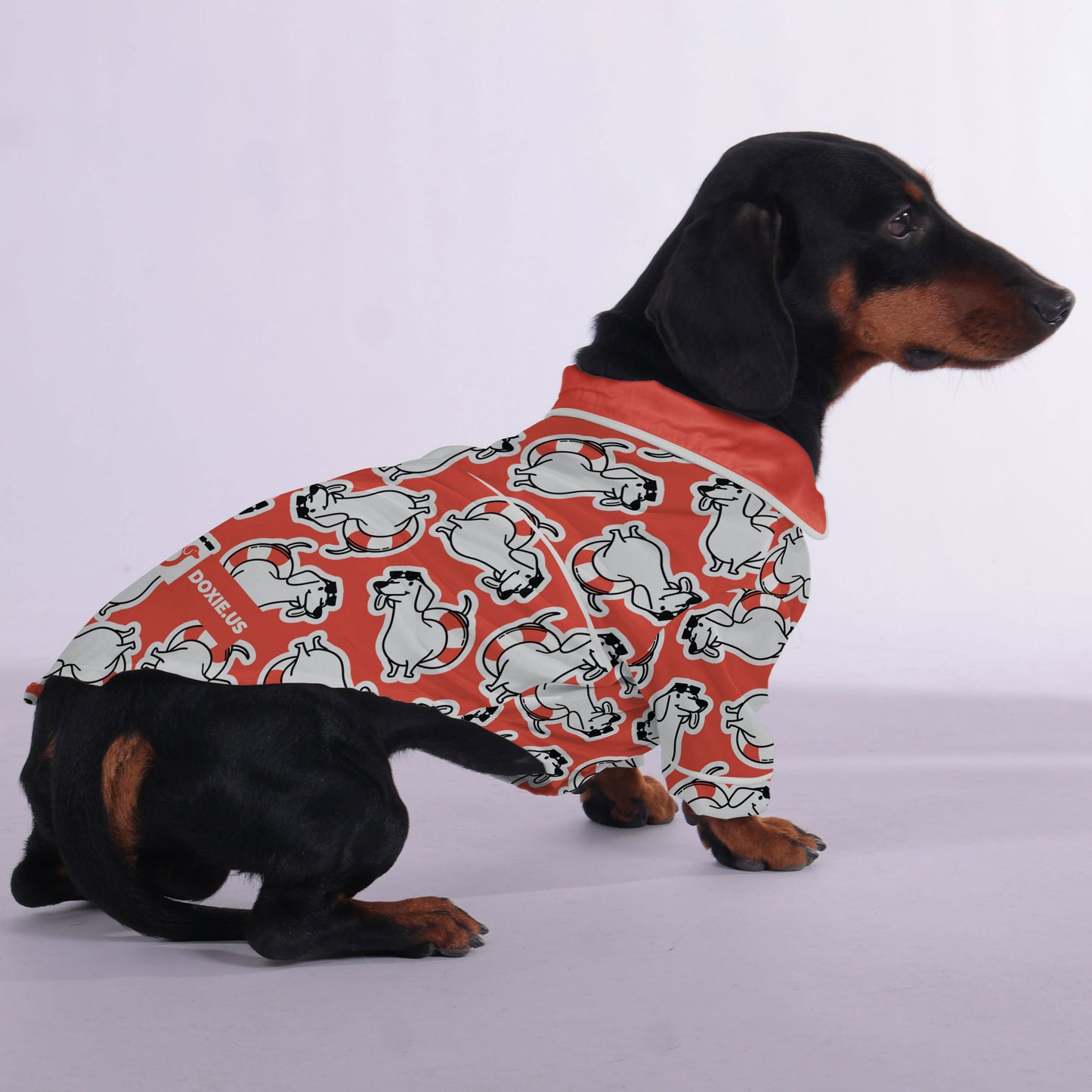 Gilbert-  Pajamas for Dachshund