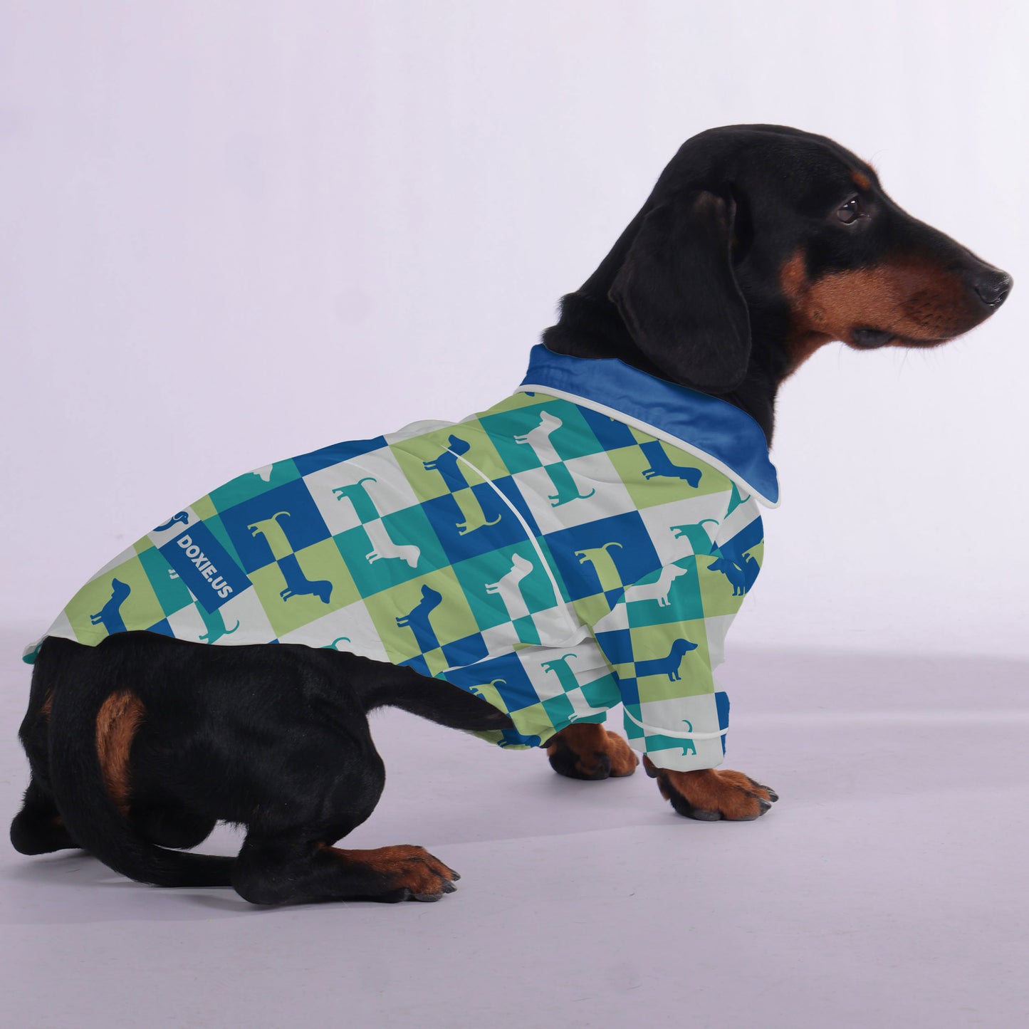 Emma -  Pajamas for Dachshund