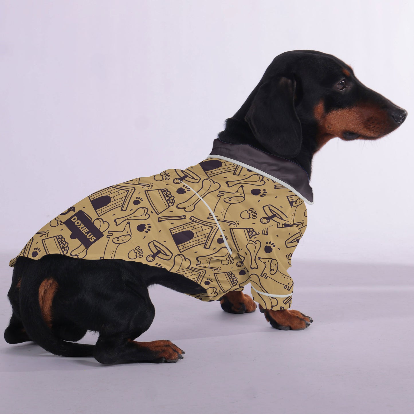 Indy -  Pajamas for Dachshund