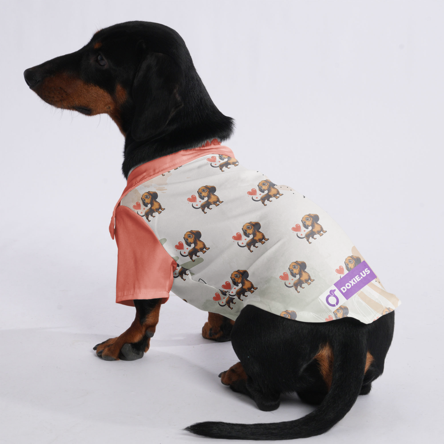 Lotte - Hawaiian Shirt for Doxies