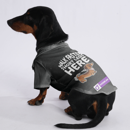 Walk faster, short legs here - Hawaiian Shirt for Doxies