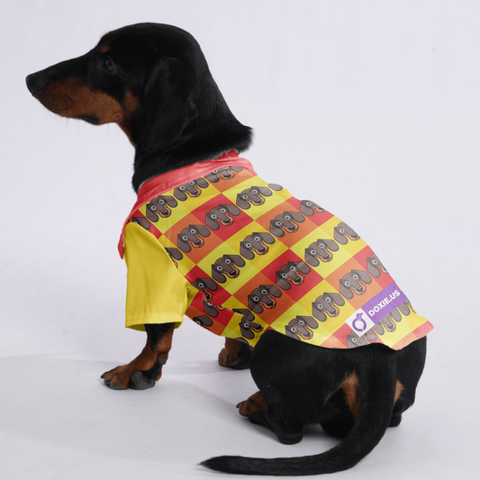 Elton- Hawaiian Shirt for Doxies