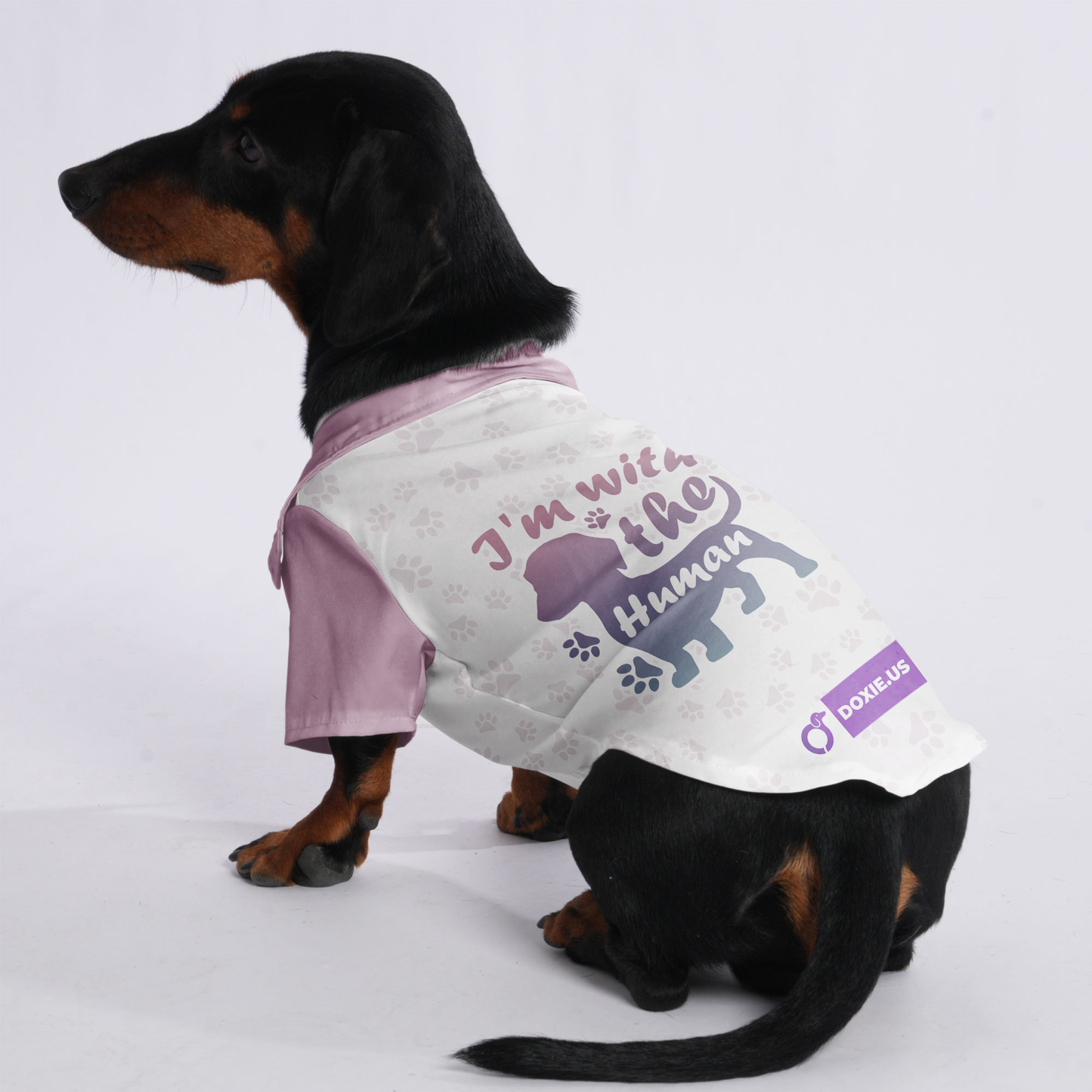 I'm with the human - Hawaiian Shirt for Doxies