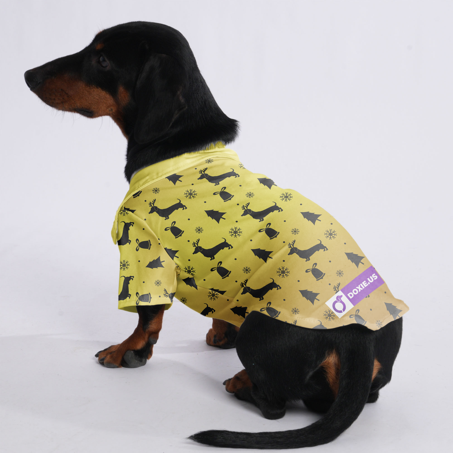 Cinnamon - Hawaiian Shirt for Doxies