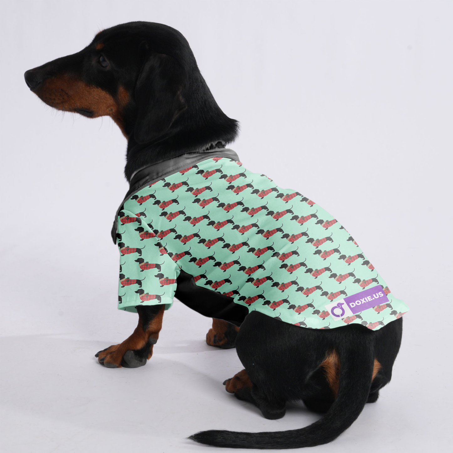 Bella - Hawaiian Shirt for Doxies