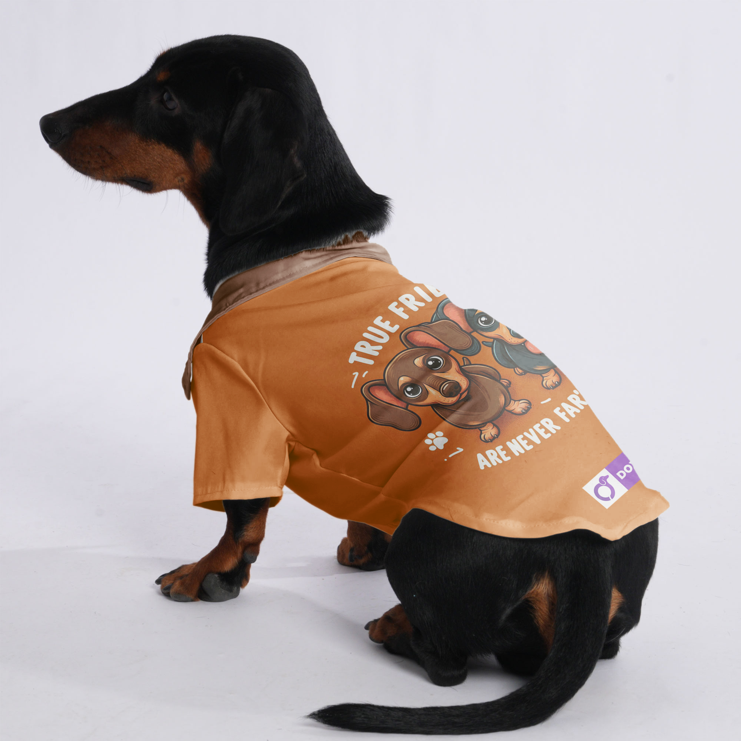 True Friends Are Never Far'T' Apart, - Hawaiian Shirt for Doxies