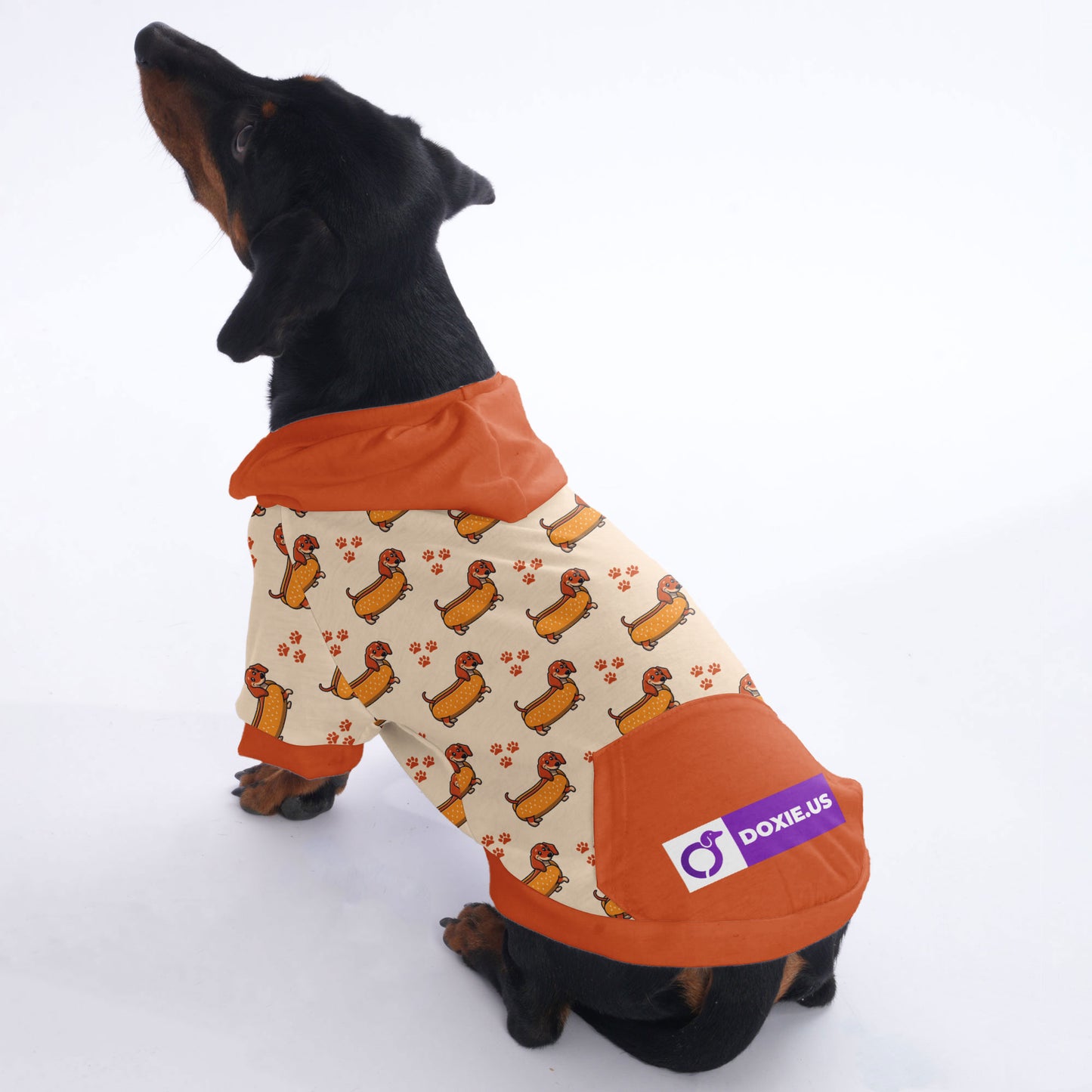 Heidi - Hoodies for Dachshunds