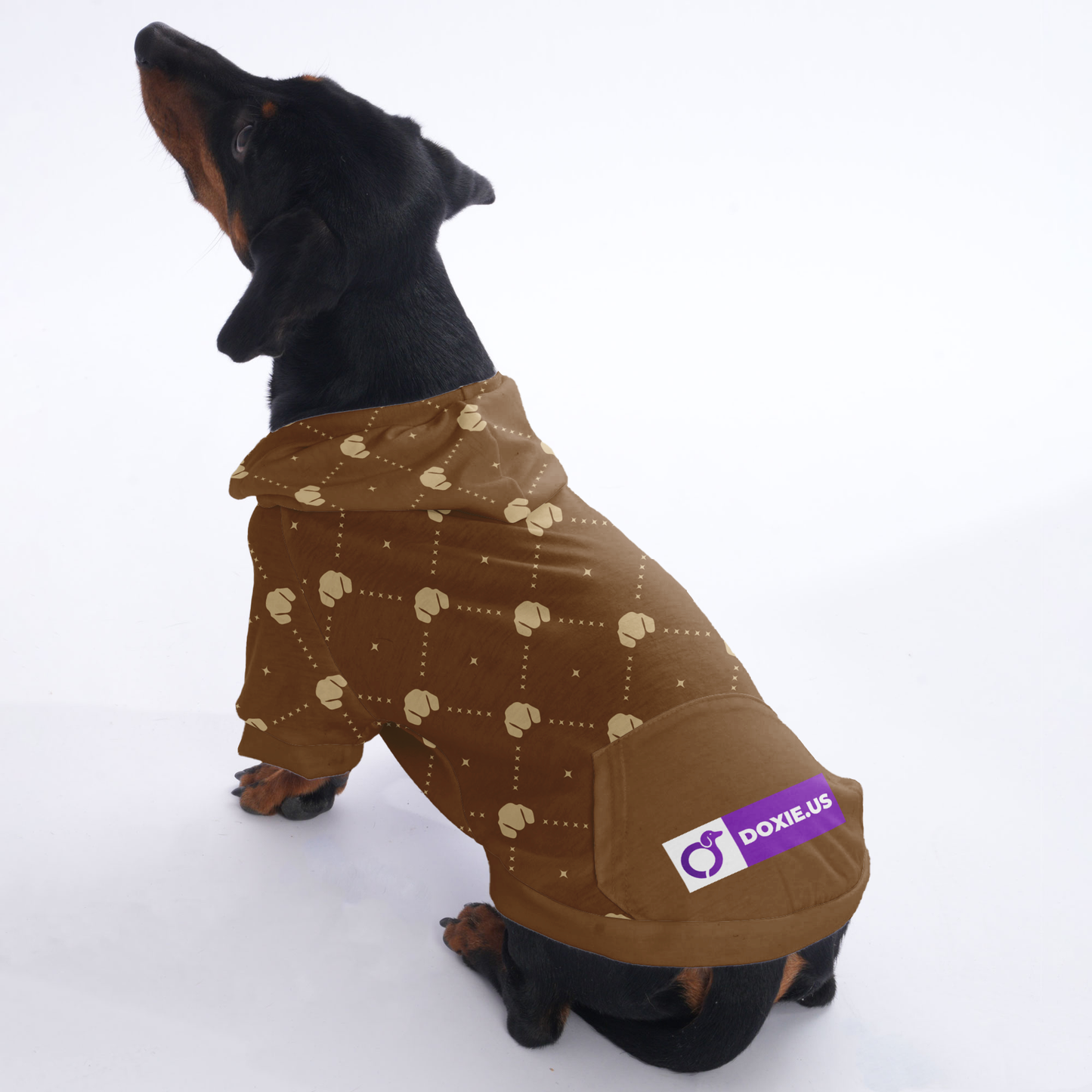 Sandra - Hoodies for Dachshunds