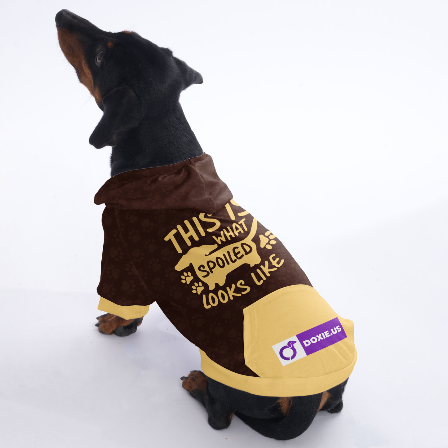 This is What Spoiled Looks Like - Hoodies for Dachshunds