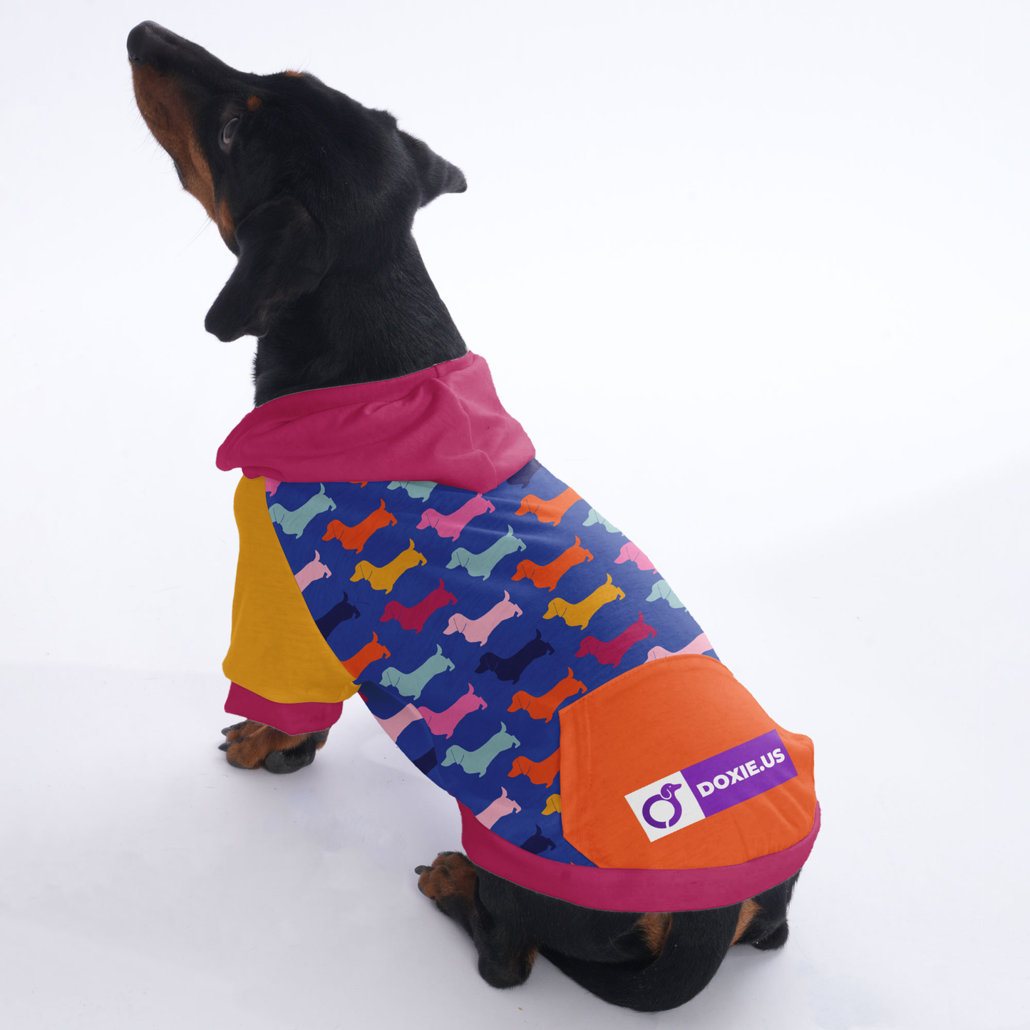 Inky - Hoodies for Dachshunds