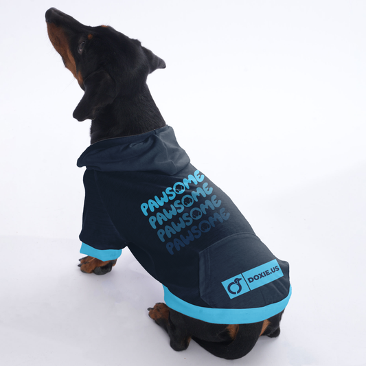 Pawsome - Hoodies for Dachshunds