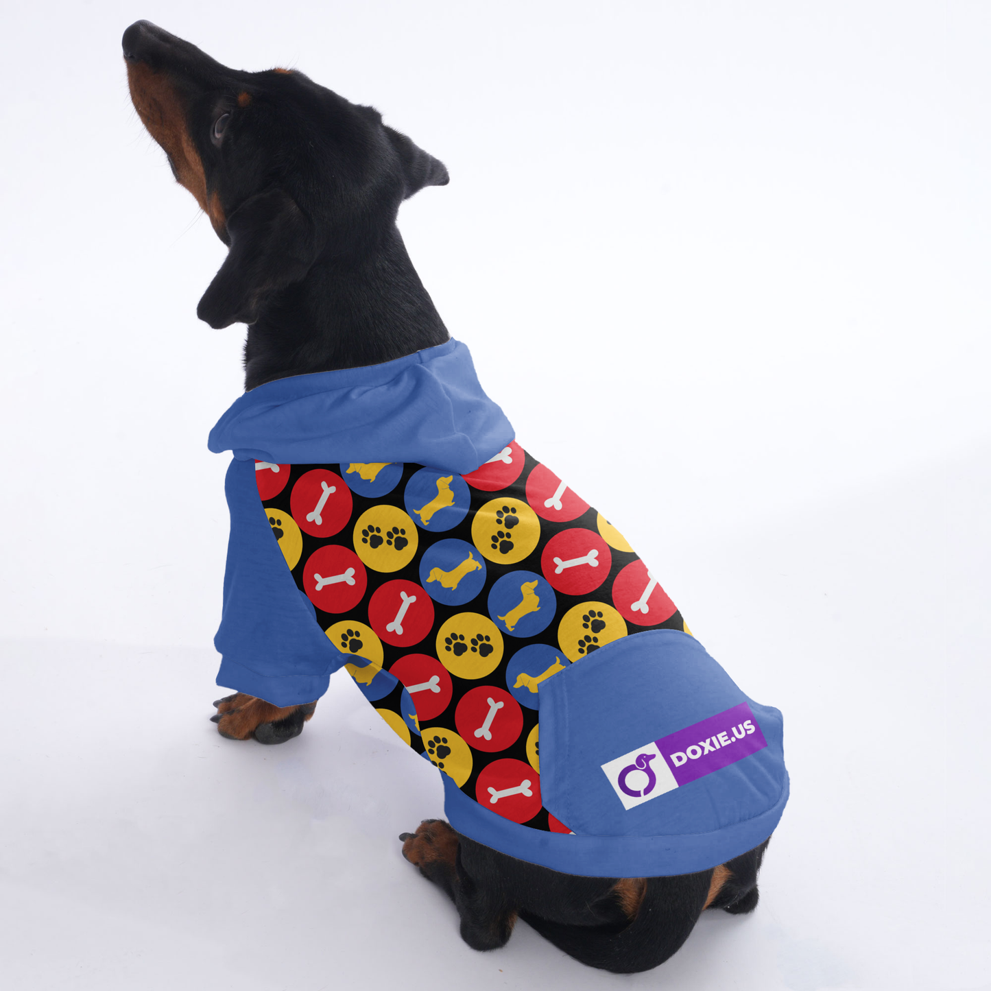 Jimi - Hoodies for Dachshunds