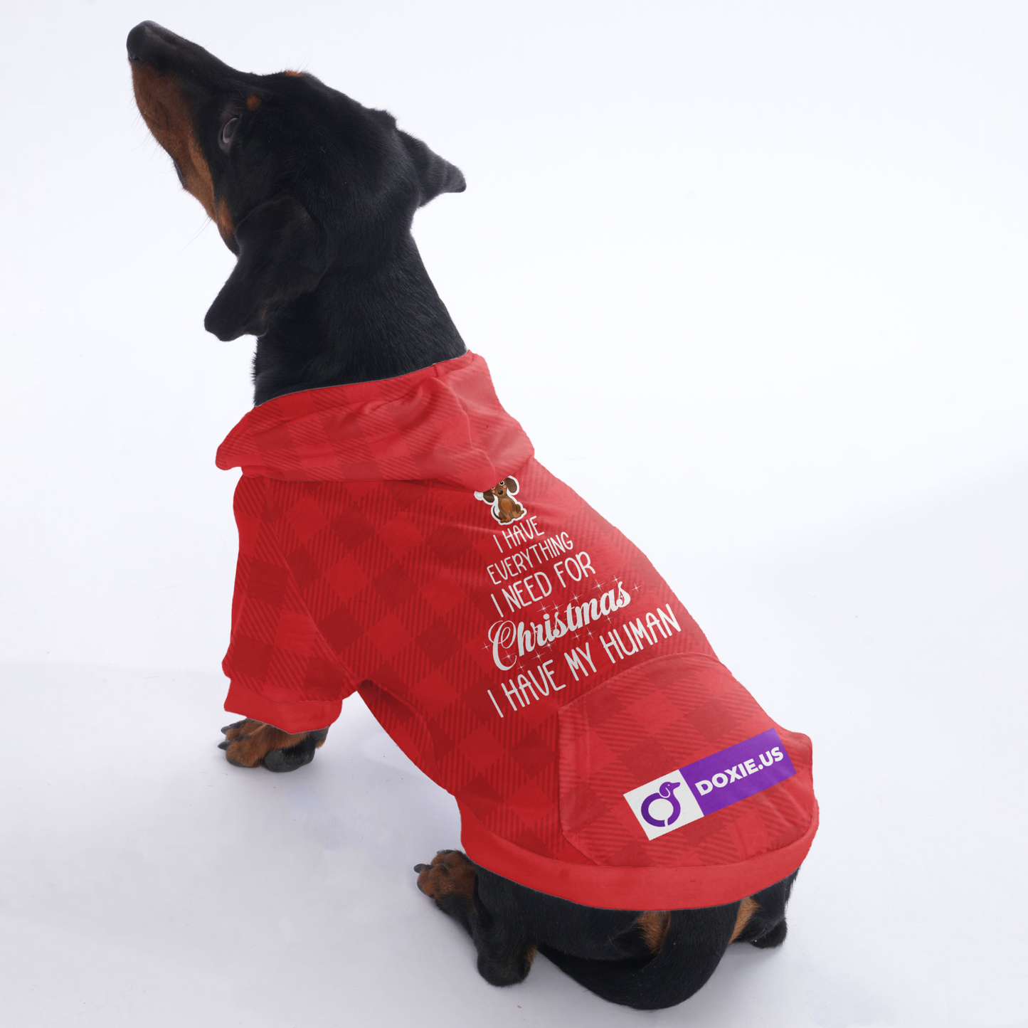 I have everything I need for Christmas. I have my human - Hoodies for Dachshunds