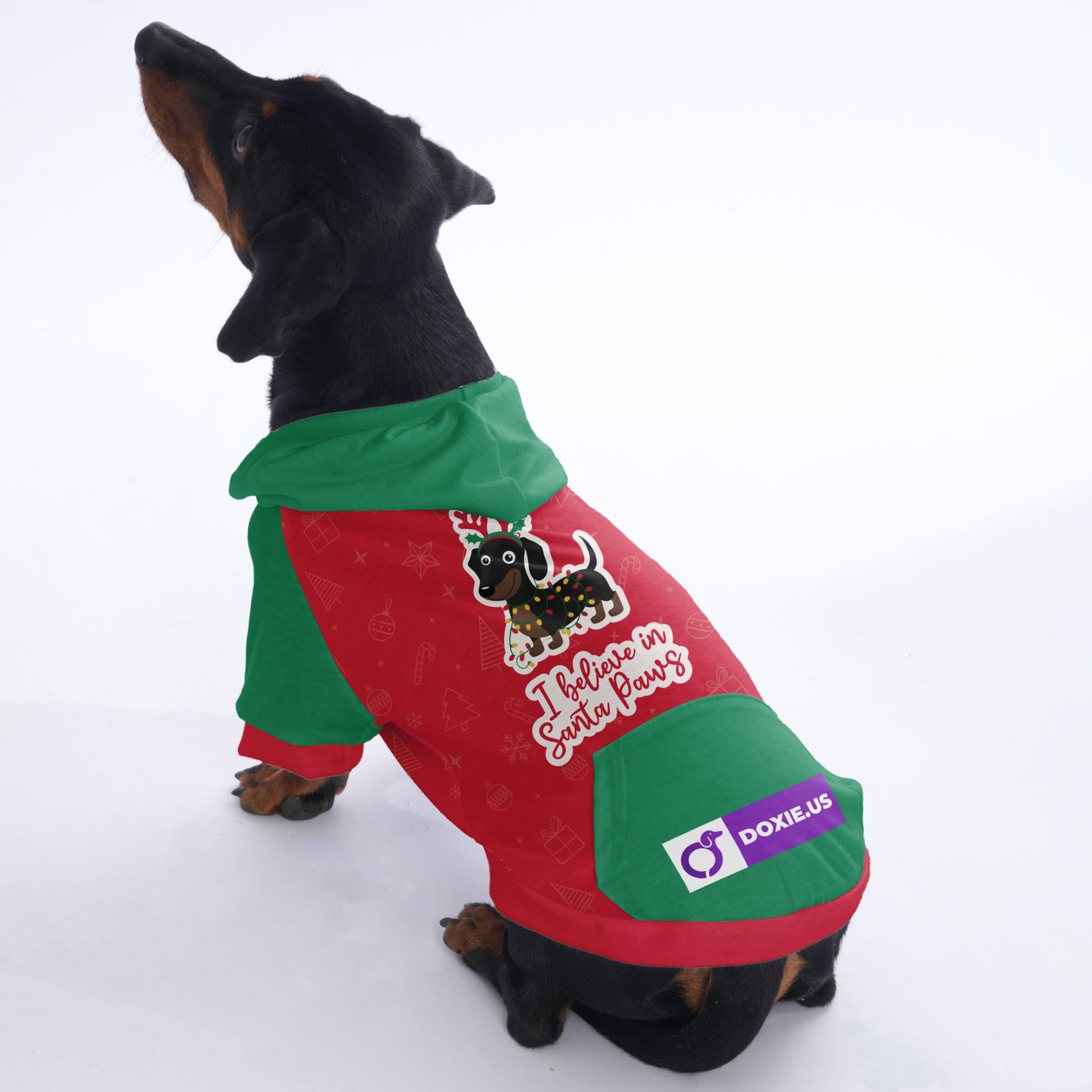 I belive in santa paws - Hoodies for Dachshunds