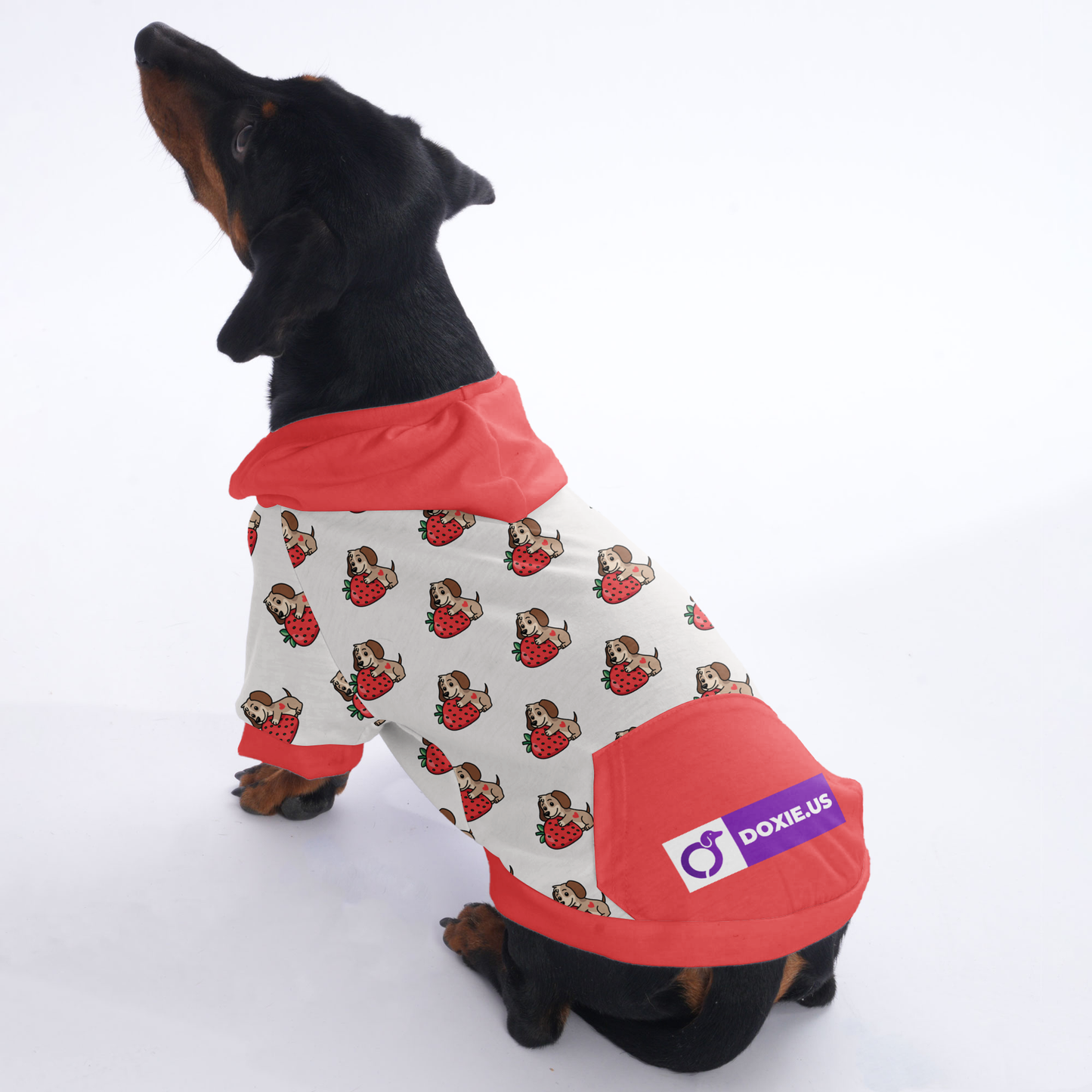 Paula - Hoodies for Dachshunds