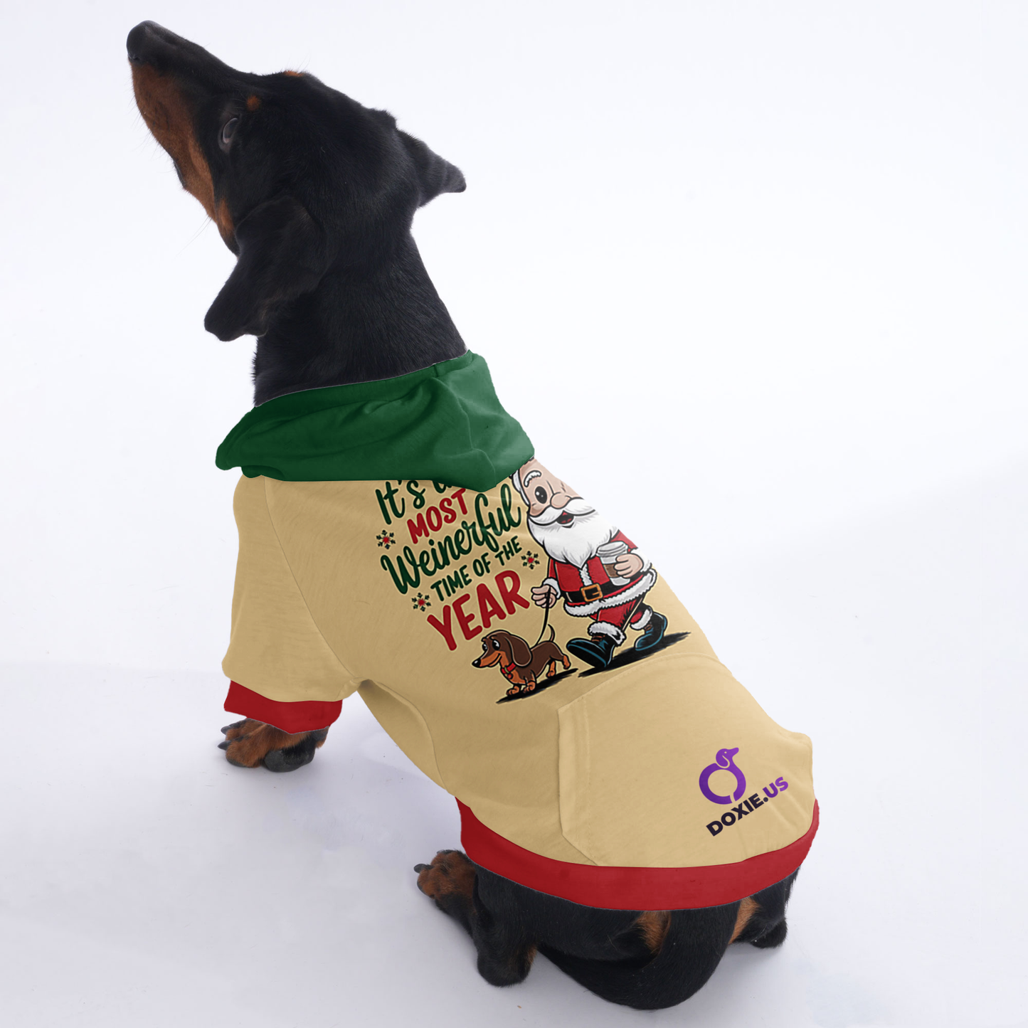 Bella - Hoodies for Dachshunds