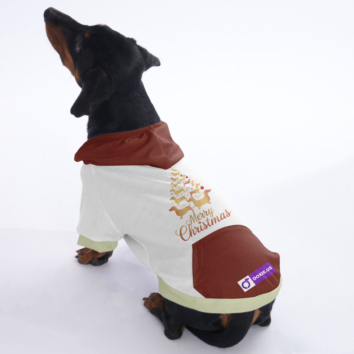 Milo - Hoodies for Dachshunds