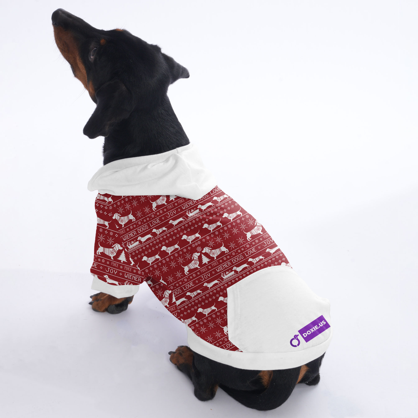 Cooper - Hoodies for Dachshunds