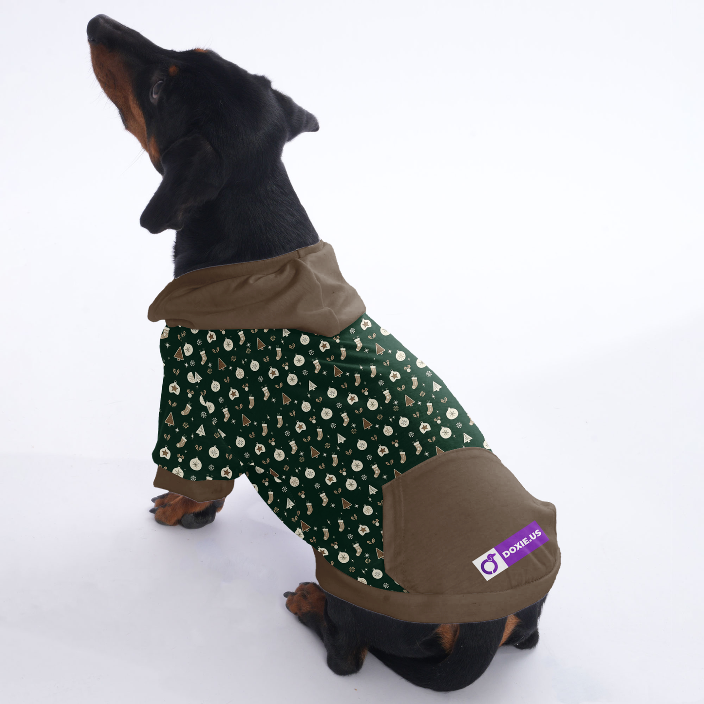 Sadie - Hoodies for Dachshunds