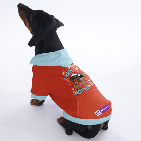 Charlie - Hoodies for Dachshunds