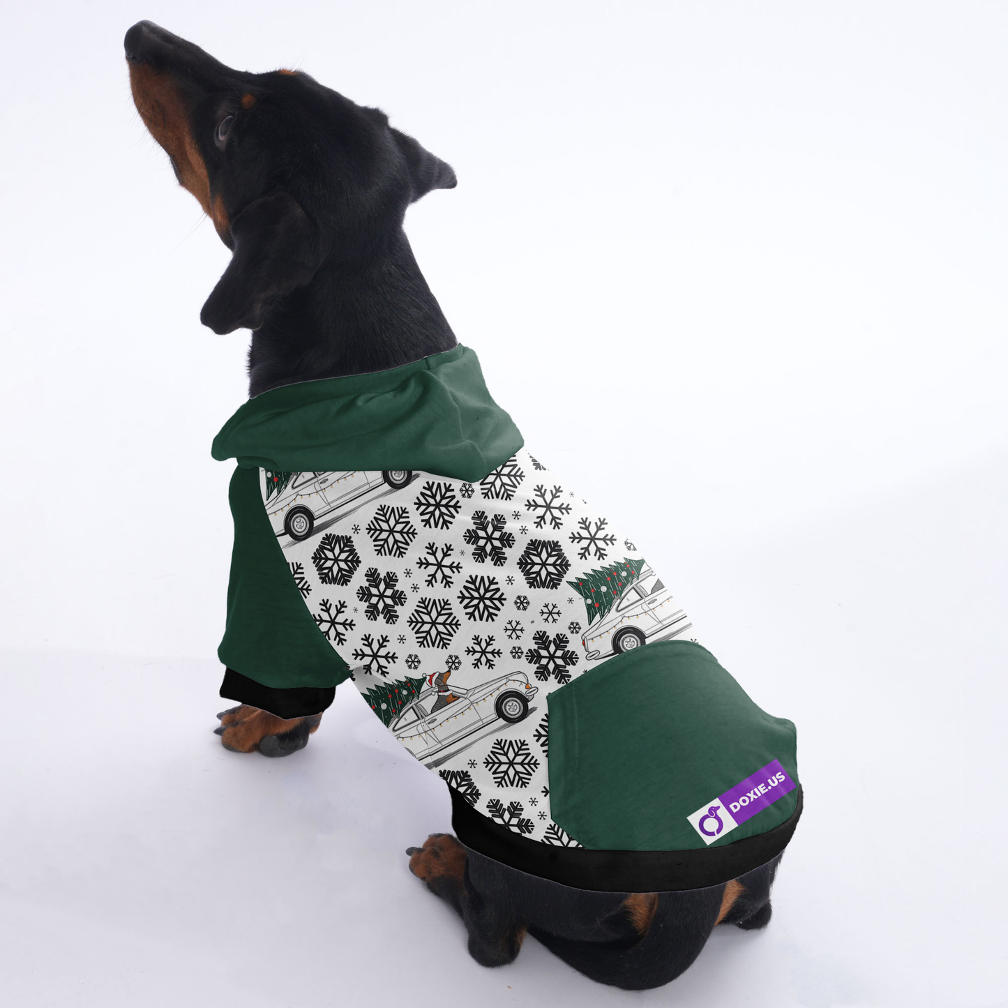 Buddy - Hoodies for Dachshunds