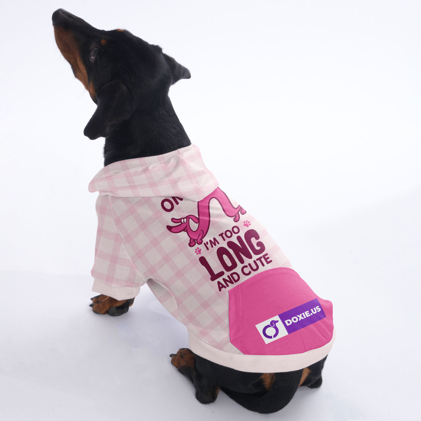 OMG , IM TOO LONG AND CUTE - Hoodies for Dachshunds